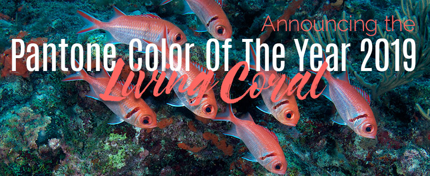 Pantone Colour of the Year 2019 - Living Coral