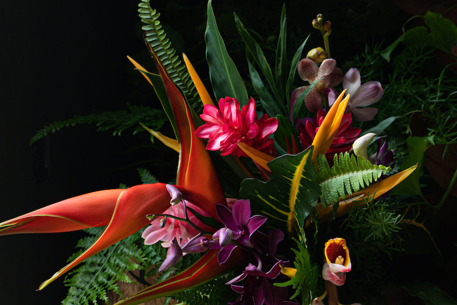 Hawaiian tropical display for garden party  - ©QuickStartProjects - Stock.Adobe.com